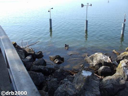 Friedrichshafen1 (4)-N.jpg