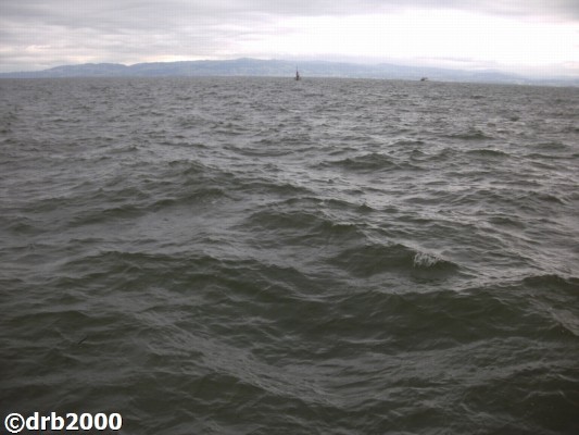 Friedrichshafen2 (2)-N.jpg