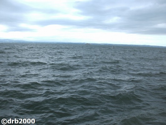 Friedrichshafen2 (4)-N.jpg