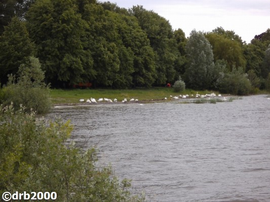 Friedrichshafen2 (6)-N.jpg